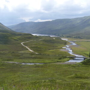Ecosse