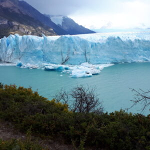 argentine